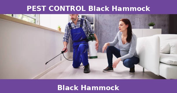 PEST CONTROL Black Hammock